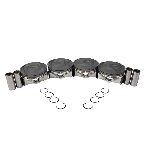 Piston Set (Oversizes Available)