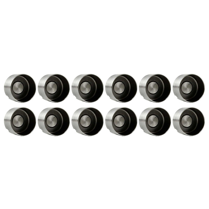 Engine Camshaft and Lifter Kit
