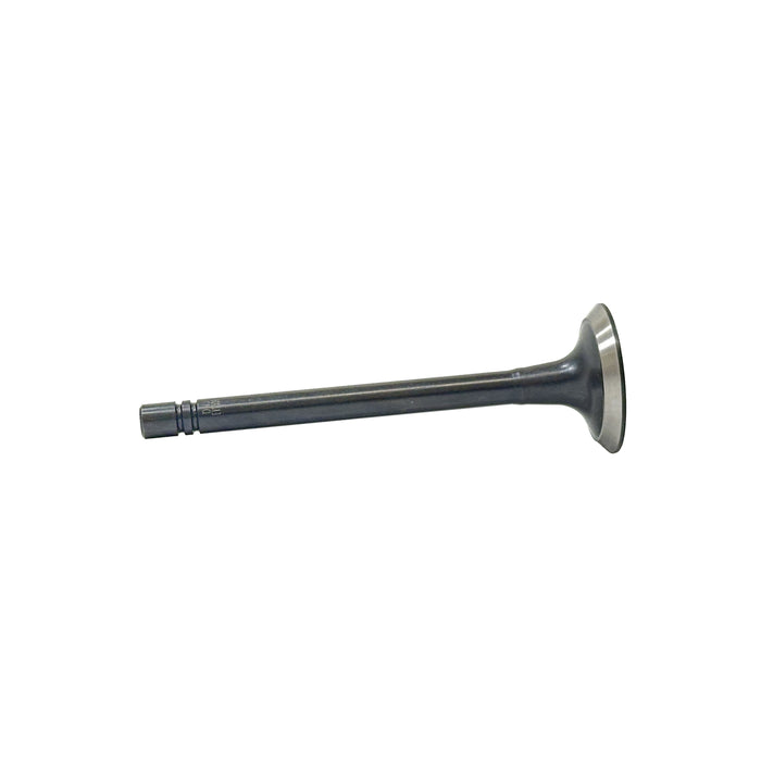 Exhaust Valve