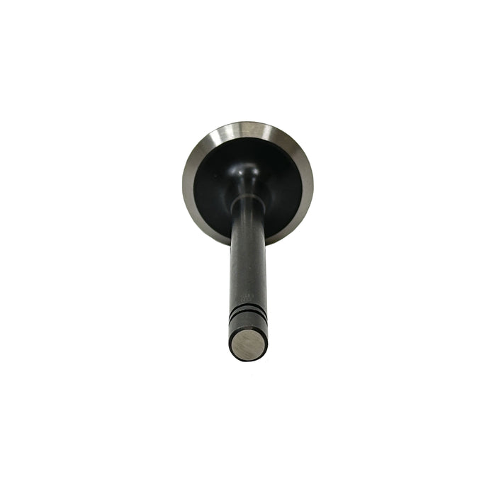 Exhaust Valve
