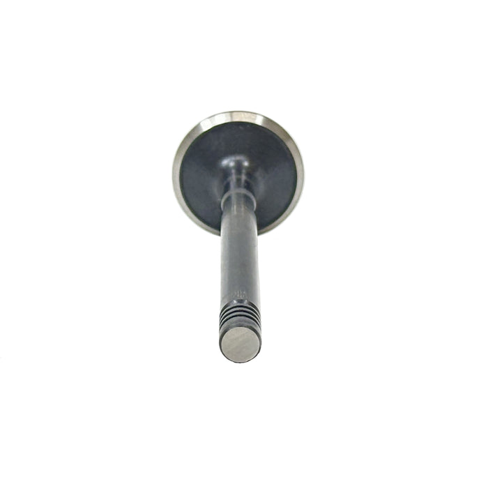Exhaust Valve