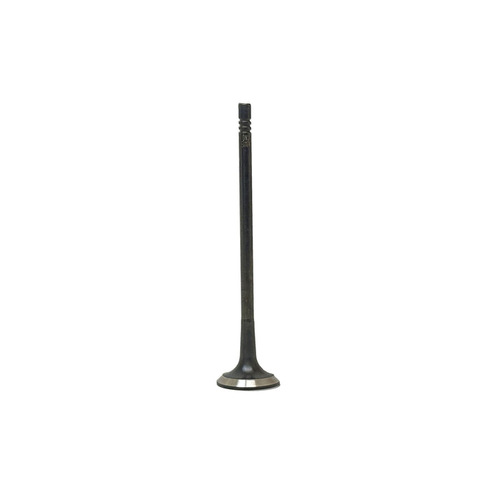Exhaust Valve