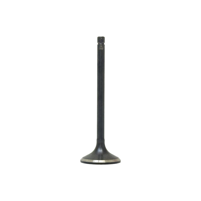 Exhaust Valve