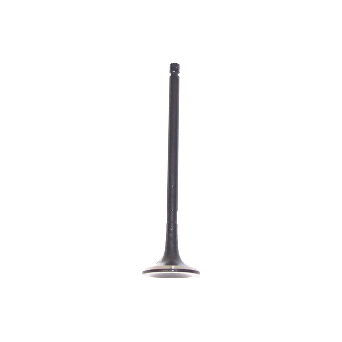 Exhaust / Intake Valve Kit