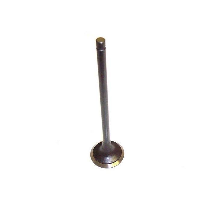 Exhaust Valve