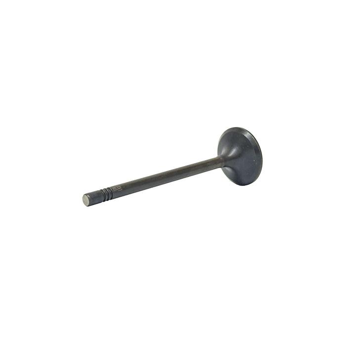 Exhaust Valve