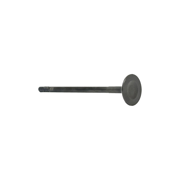 Exhaust Valve