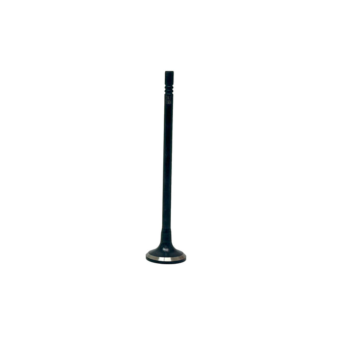 Exhaust Valve