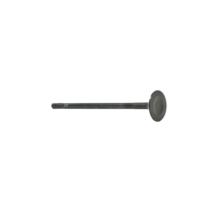 Exhaust Valve