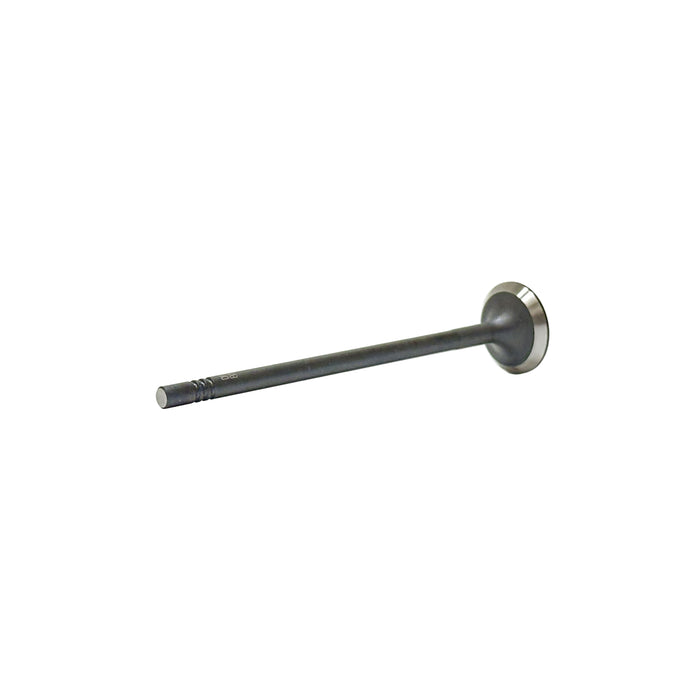Exhaust Valve