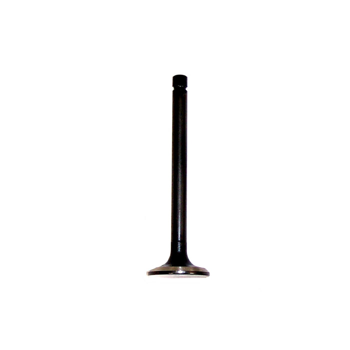 Exhaust Intake Valve Kit