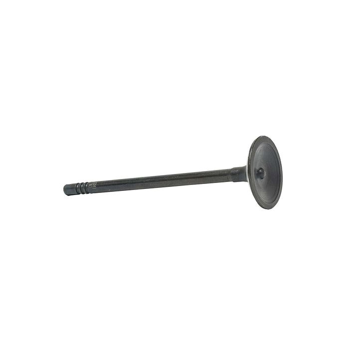 Exhaust Valve