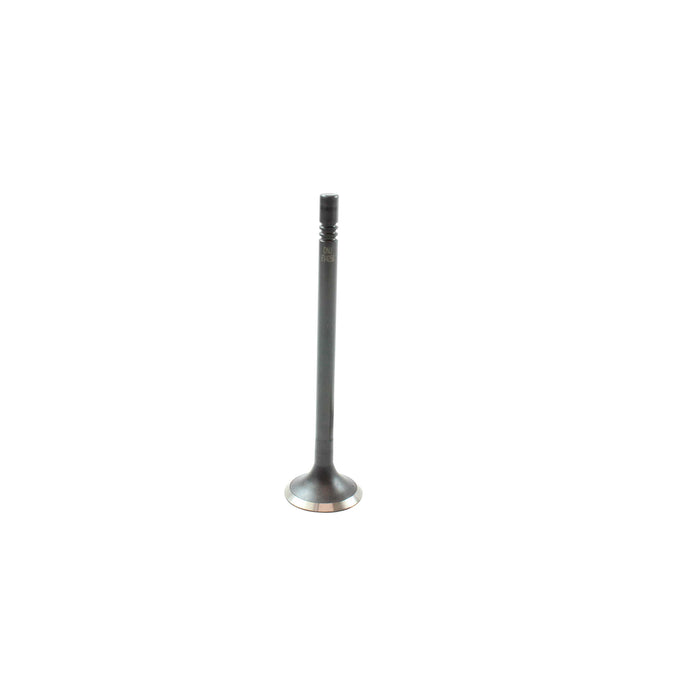 Exhaust / Intake Valve Kit