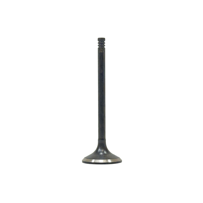 Exhaust Valve