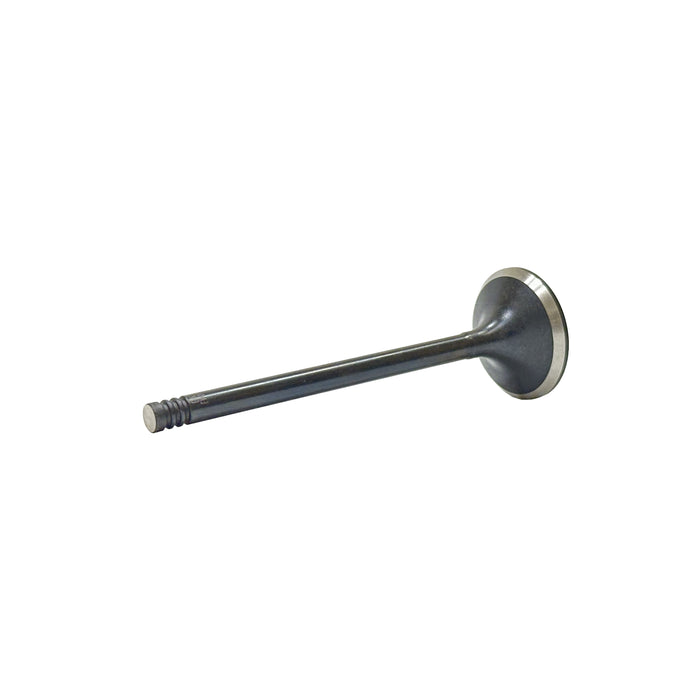 Exhaust Valve