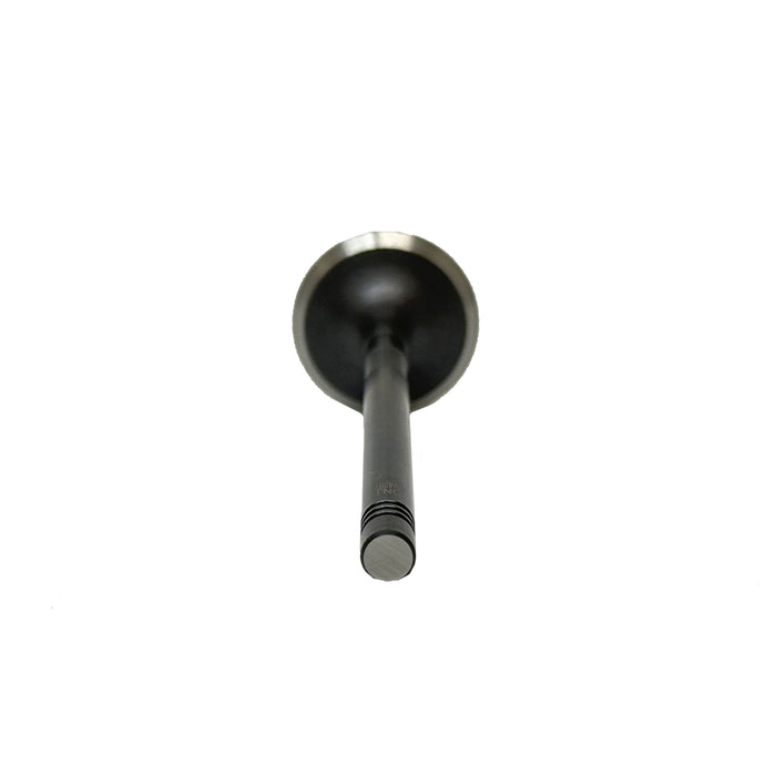 Exhaust Valve