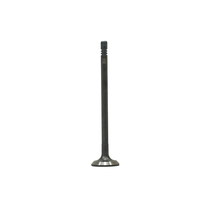 Exhaust Valve