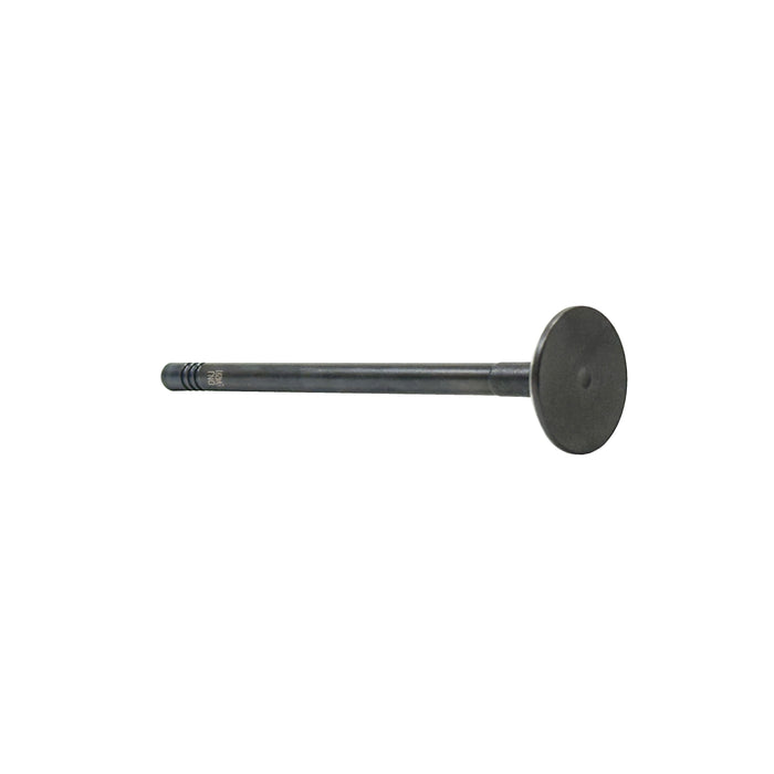 Exhaust Valve