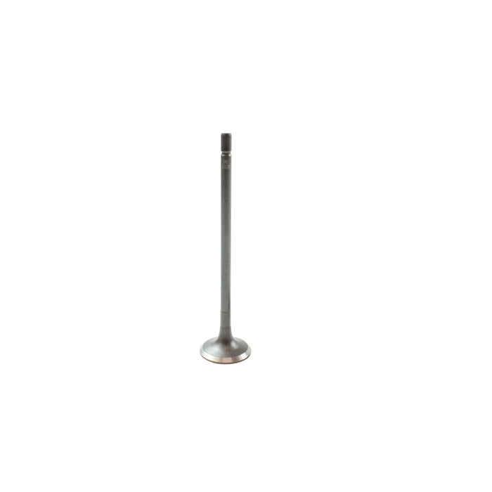 Exhaust / Intake Valve Kit