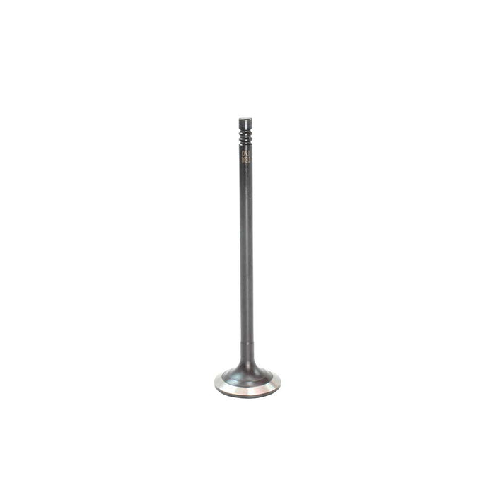 Exhaust / Intake Valve Kit