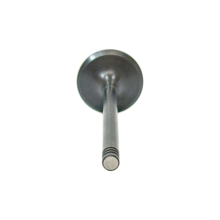 Exhaust Valve