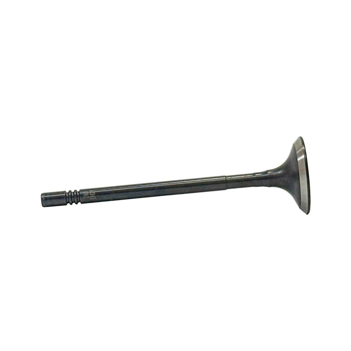 Exhaust Valve