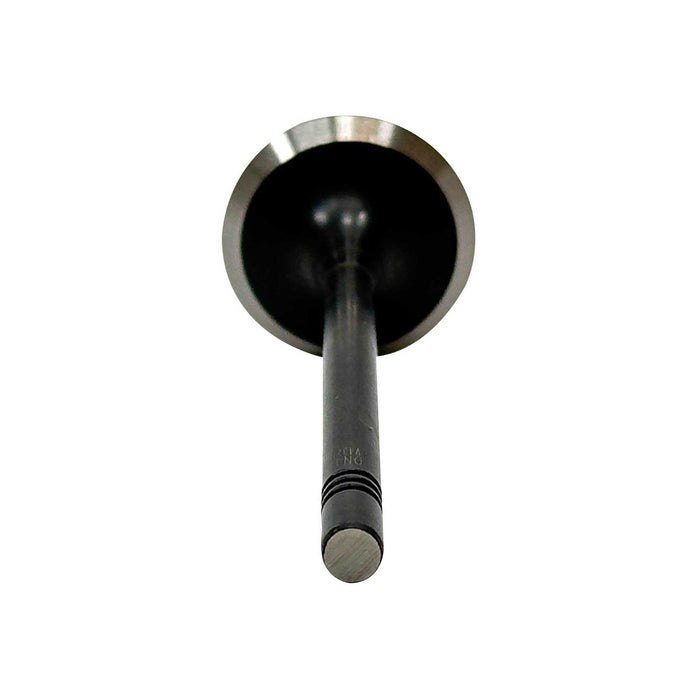 Exhaust Valve