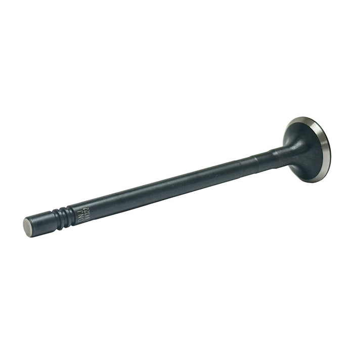 Exhaust Valve