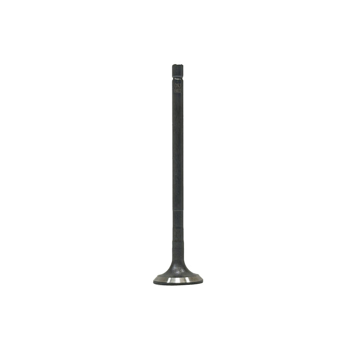 Exhaust Valve