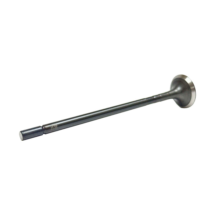Exhaust Valve