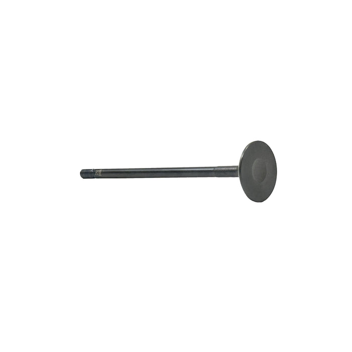 Exhaust Valve