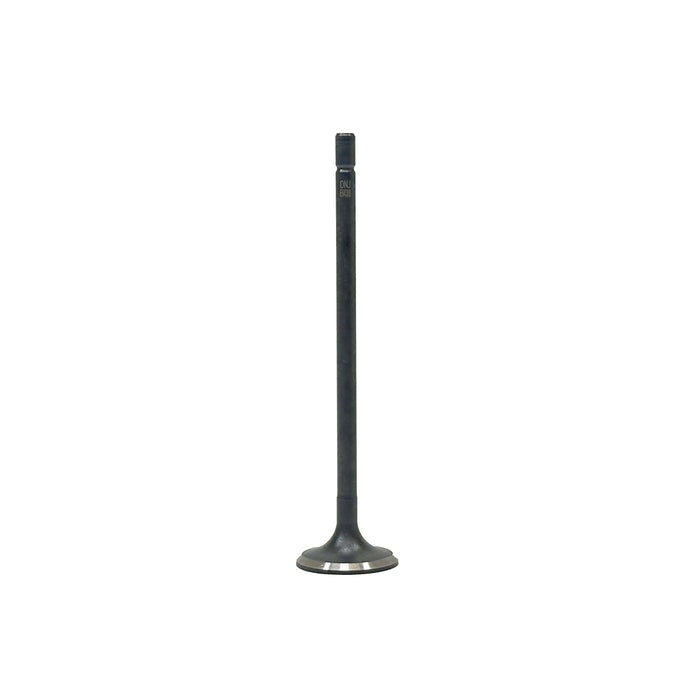 Exhaust Valve