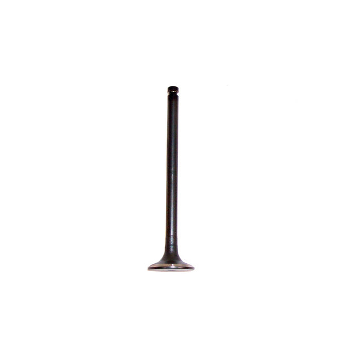 Exhaust Intake Valve Kit