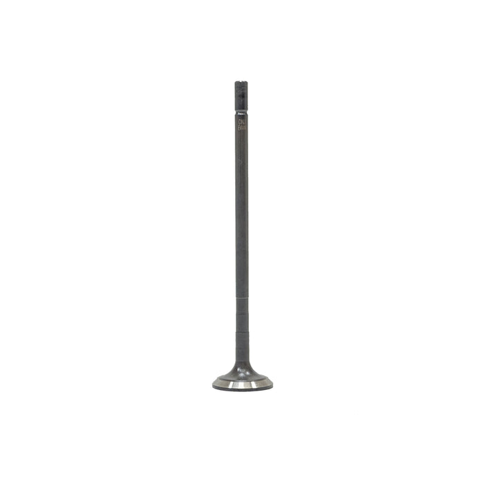 Exhaust Valve