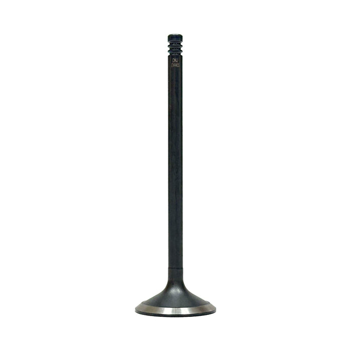 Exhaust Valve