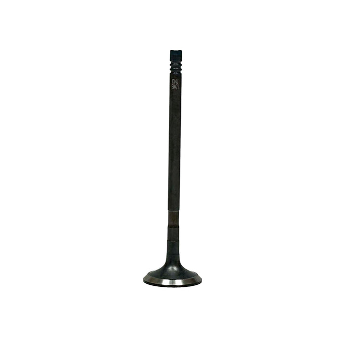 Exhaust Valve