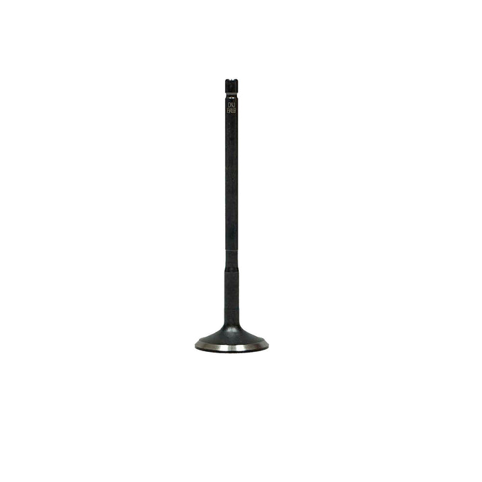Exhaust Valve