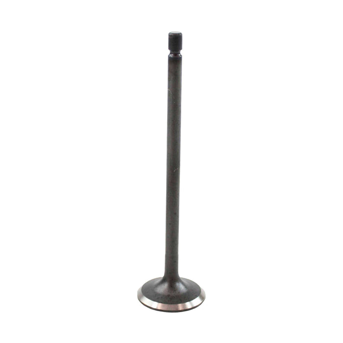 Exhaust Valve