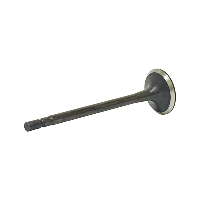 Exhaust Valve