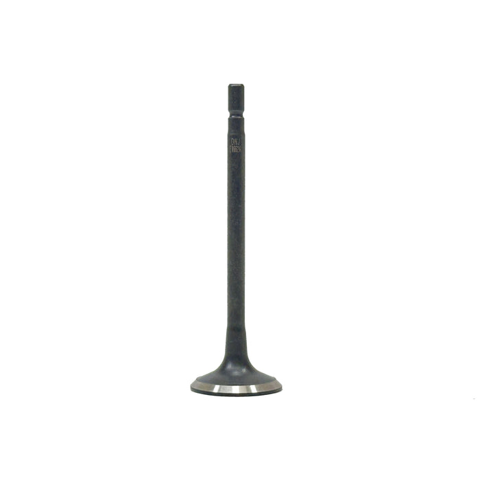 Exhaust Valve