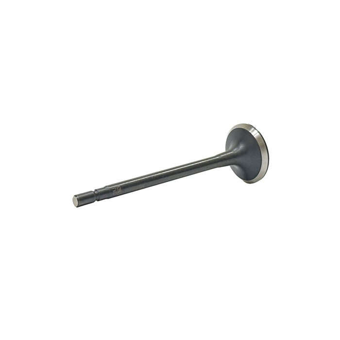 Exhaust Valve