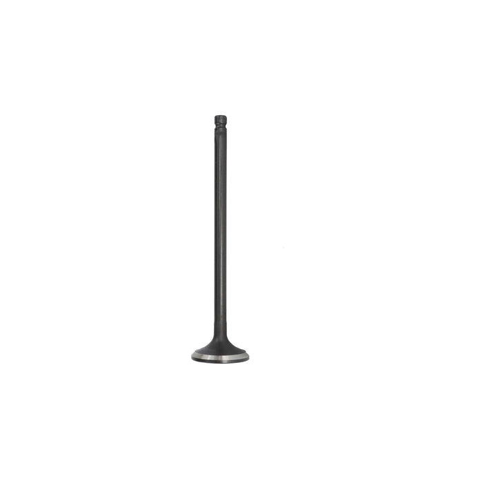 Exhaust / Intake Valve Kit