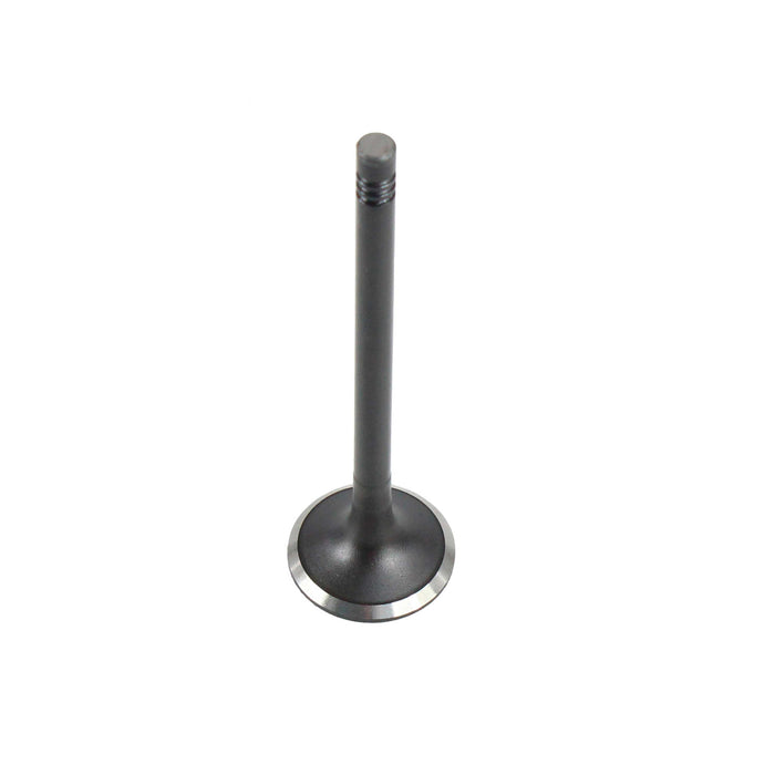 Exhaust / Intake Valve Kit