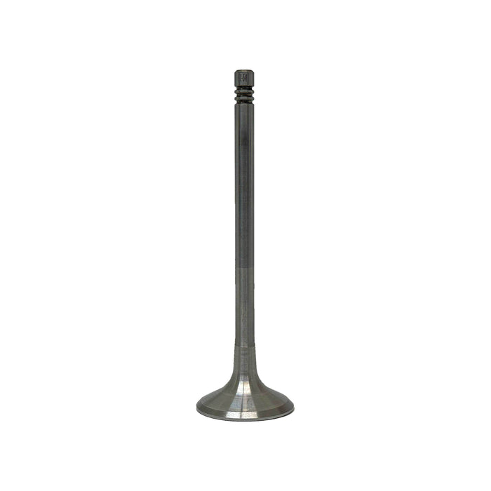 Exhaust Valve