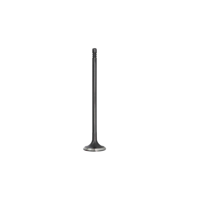 Exhaust / Intake Valve Kit