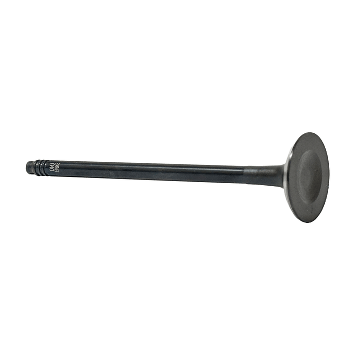 Exhaust Valve