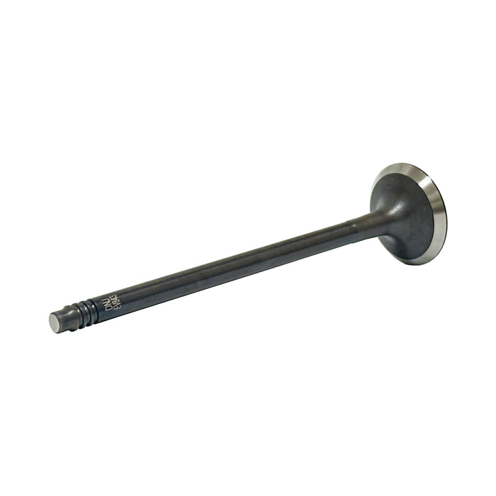 Exhaust Valve