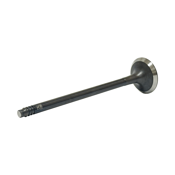 Exhaust Valve