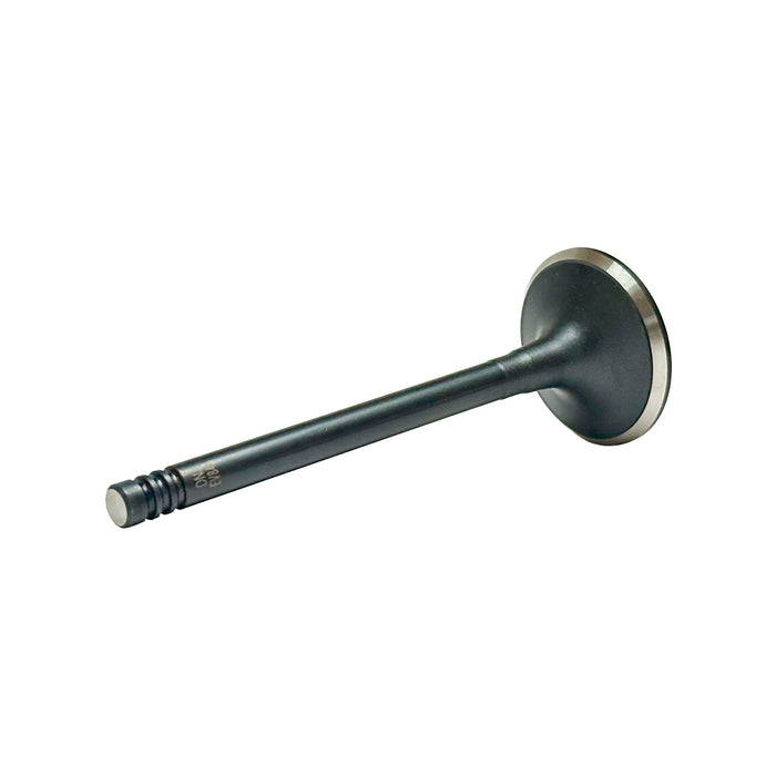 Exhaust Valve