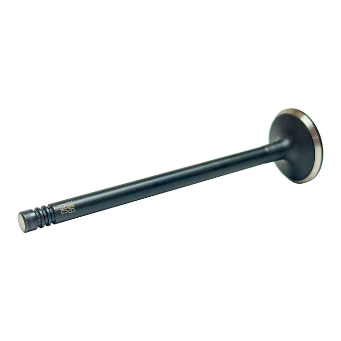 Exhaust Valve